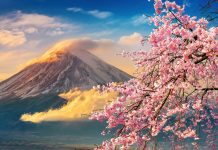 Full cẩm nang cuộc sống Nhật dành người Việt 2025 cuộc sống nhật